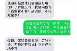 惠东为什么选择专业追讨公司来处理您的债务纠纷？